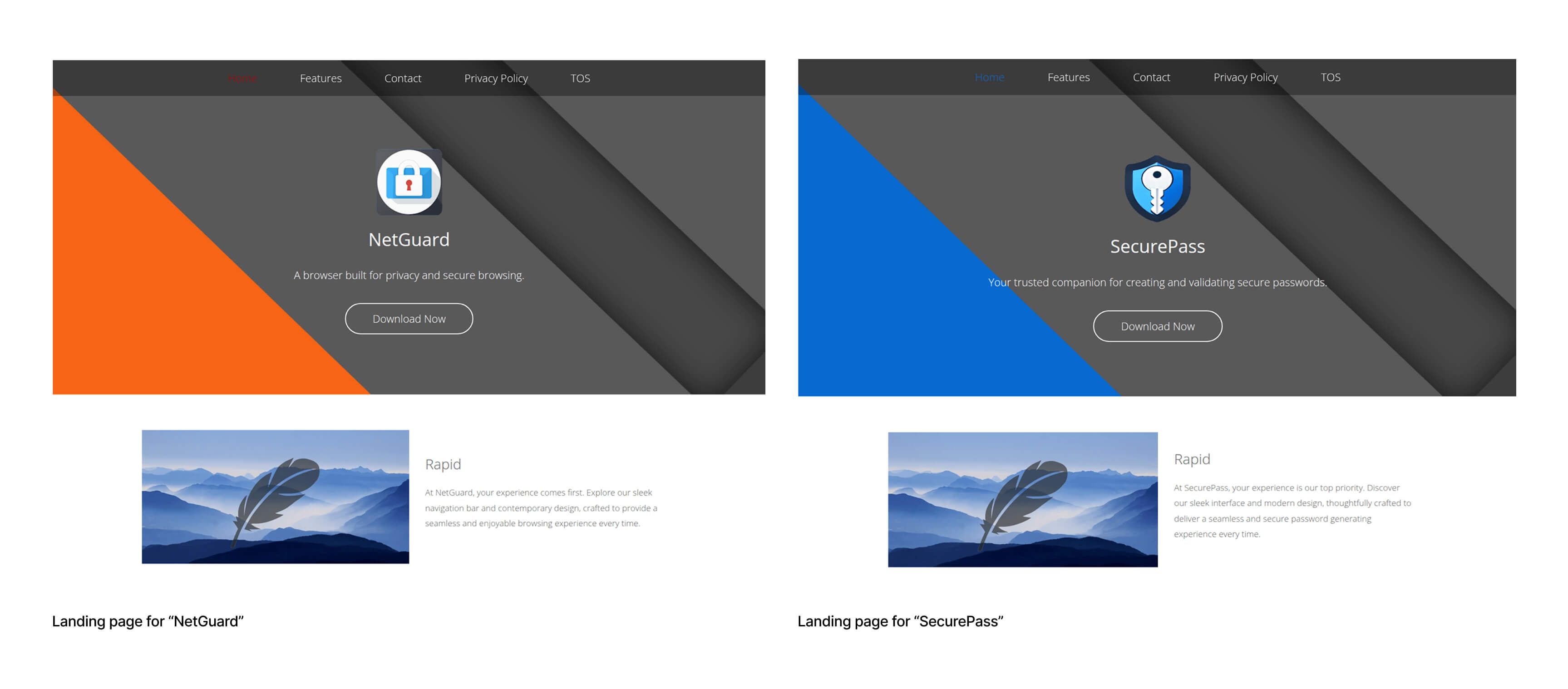 25- Trinity Cyber - Blurred Lines Blog - PhantomJack & NetGuard Landing page Graphic
