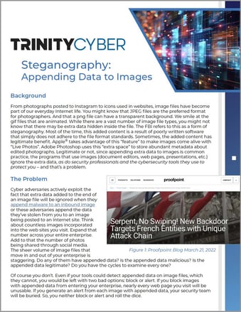 thumb-brief-steganography-2